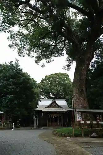 立田阿蘇三宮神社のその他建物