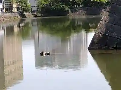 福井神社(福井県)