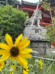 自由が丘熊野神社の狛犬