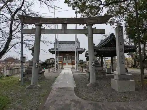 白髭神社(岐阜県)