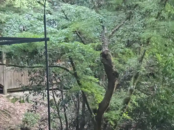 醍醐寺(上醍醐)(京都府)