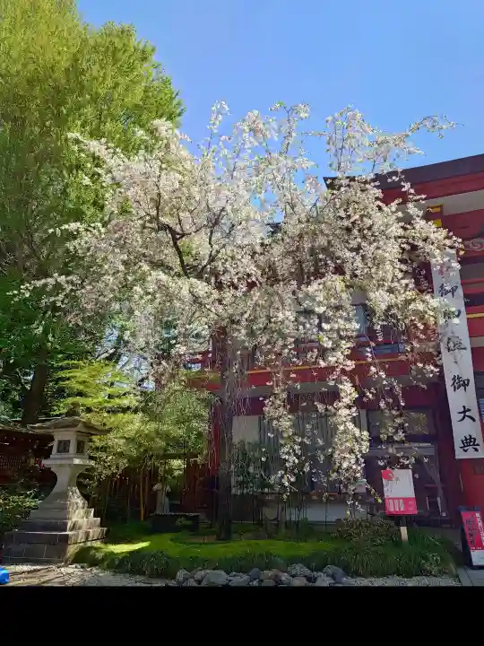秩父神社の{uncategorized: "未分類", other: "その他", undefined: "問題あり", building: "その他建物", grave: "お墓", sacred_gate: "鳥居", guardian: "狛犬", statue: "像", buddha: "仏像", history: "歴史", nature: "自然", garden: "庭園", animal: "動物", pagoda: "塔", temizu: "手水舎", mountain_gate: "山門・神門", sanctuary: "本殿・本堂", subordinate: "末社・摂社", art: "芸術", scenery: "景色", jizo: "地蔵", ema: "絵馬", goshuin: "御朱印", omikuji: "おみくじ", items: "授与品その他", amulet: "お守り", goshuincho: "御朱印帳", eats: "食事", festival: "お祭り", votive_dance: "神楽", shichigosan: "七五三参", wedding: "結婚式", experience: "体験その他", initially: "初詣", around: "周辺", anti_infection: "感染症対策"}