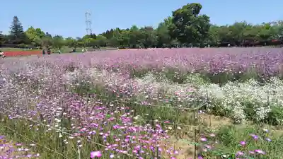 東本願寺本廟 牛久浄苑(牛久大仏)(茨城県)