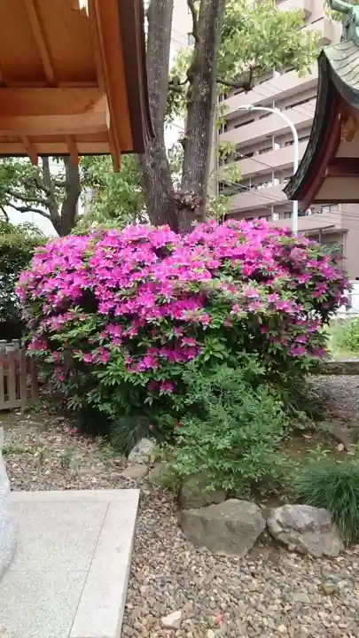 蒲田八幡神社(東京都)