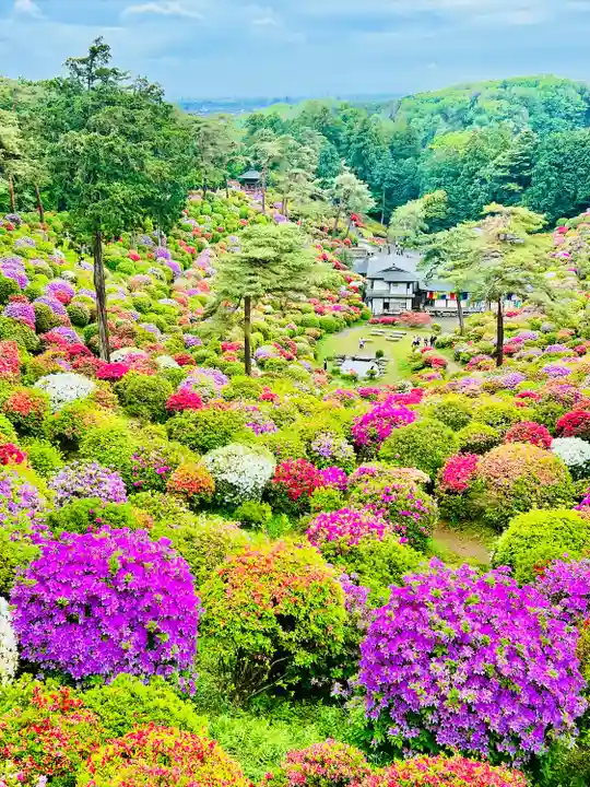 塩船観音寺(東京都)