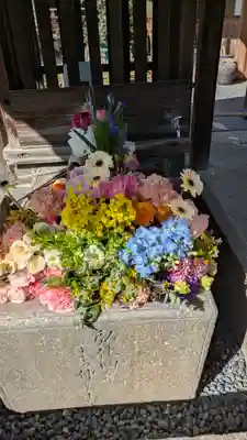 勝林寺(京都府)