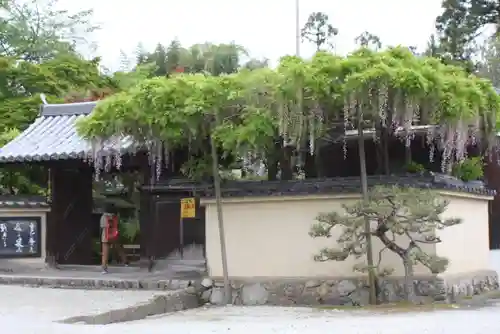 當麻寺 宗胤院(奈良県)