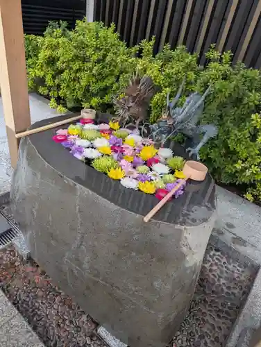 駒込妙義神社(東京都)