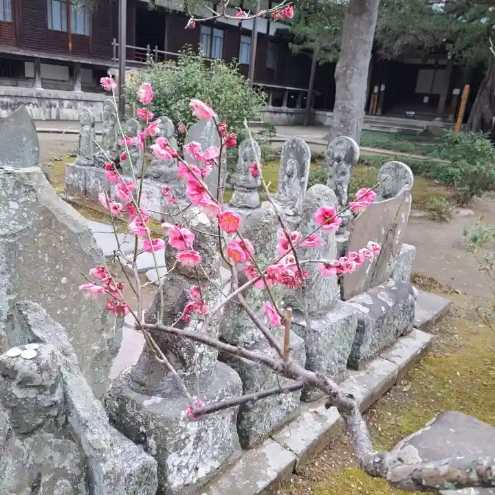 円覚寺の{uncategorized: "未分類", other: "その他", undefined: "問題あり", building: "その他建物", grave: "お墓", sacred_gate: "鳥居", guardian: "狛犬", statue: "像", buddha: "仏像", history: "歴史", nature: "自然", garden: "庭園", animal: "動物", pagoda: "塔", temizu: "手水舎", mountain_gate: "山門・神門", sanctuary: "本殿・本堂", subordinate: "末社・摂社", art: "芸術", scenery: "景色", jizo: "地蔵", ema: "絵馬", goshuin: "御朱印", omikuji: "おみくじ", items: "授与品その他", amulet: "お守り", goshuincho: "御朱印帳", eats: "食事", festival: "お祭り", votive_dance: "神楽", shichigosan: "七五三参", wedding: "結婚式", experience: "体験その他", initially: "初詣", around: "周辺", anti_infection: "感染症対策"}