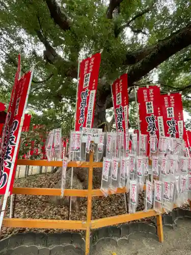 種貸社（住吉大社末社）の自然