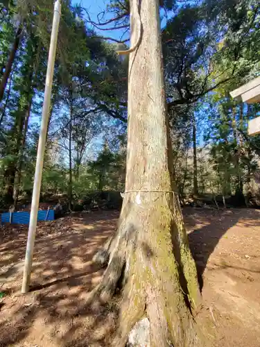 鹿島神社 本殿(栃木県)