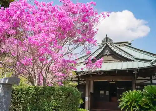 円通寺の本殿・本堂