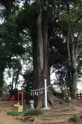 麻賀多神社(千葉県)