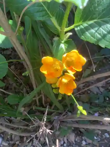 三輪神社の自然