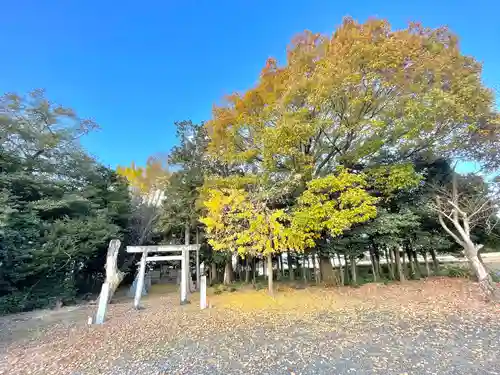 美里神社(三重県)