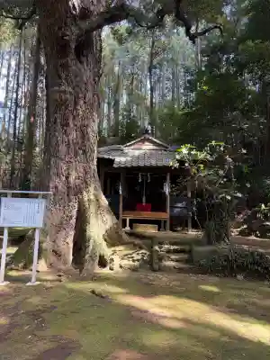 高座神社の{uncategorized: "未分類", other: "その他", undefined: "問題あり", building: "その他建物", grave: "お墓", sacred_gate: "鳥居", guardian: "狛犬", statue: "像", buddha: "仏像", history: "歴史", nature: "自然", garden: "庭園", animal: "動物", pagoda: "塔", temizu: "手水舎", mountain_gate: "山門・神門", sanctuary: "本殿・本堂", subordinate: "末社・摂社", art: "芸術", scenery: "景色", jizo: "地蔵", ema: "絵馬", goshuin: "御朱印", omikuji: "おみくじ", items: "授与品その他", amulet: "お守り", goshuincho: "御朱印帳", eats: "食事", festival: "お祭り", votive_dance: "神楽", shichigosan: "七五三参", wedding: "結婚式", experience: "体験その他", initially: "初詣", around: "周辺", anti_infection: "感染症対策"}