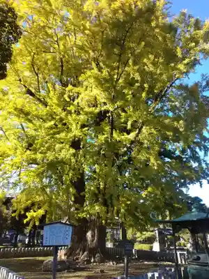 鑁阿寺(栃木県)