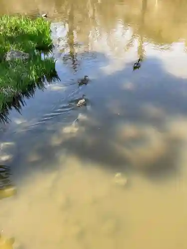 稱名寺（称名寺）(神奈川県)