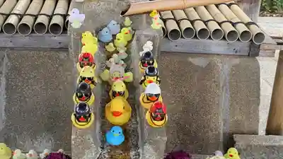 くろ谷 金戒光明寺の手水舎