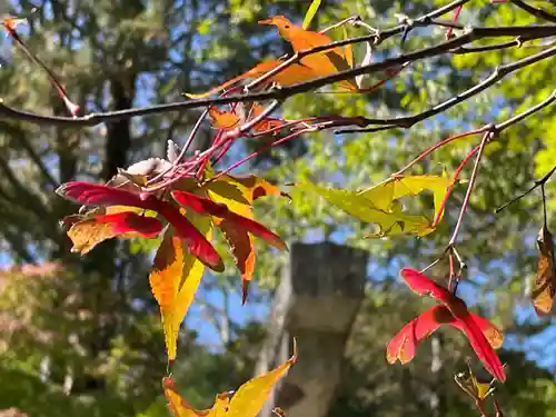 古峯神社の自然
