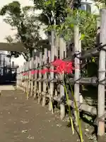 福王山 慈眼寺の自然