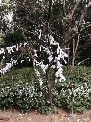 熊野神社のおみくじ