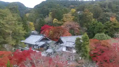 南禅寺の景色