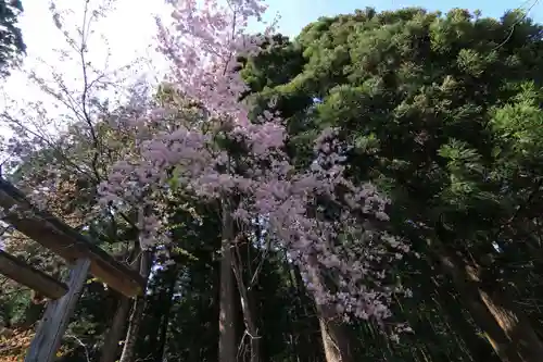 土津神社｜こどもと出世の神さまの庭園