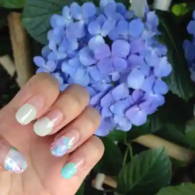 白山神社(東京都)