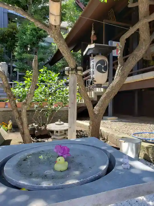 高円寺氷川神社の庭園