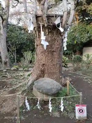 江島神社のその他建物
