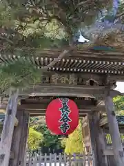 長谷寺(神奈川県)