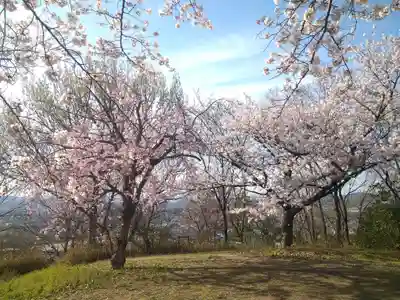 足高神社の自然