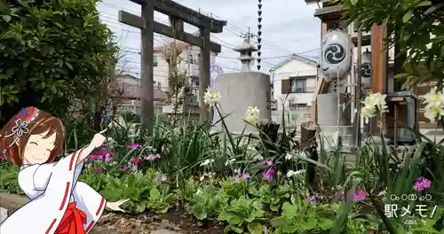 長門鎮守八幡神社の鳥居