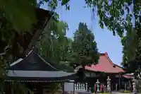 崇真寺(開運犬り切不動尊)(栃木県)