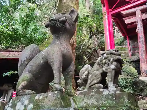 猿場稲荷神社の狛犬