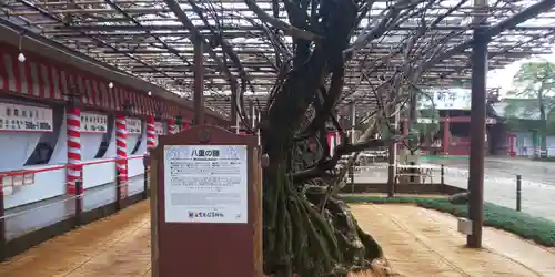 笠間稲荷神社の庭園