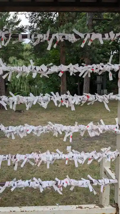 上川神社頓宮のおみくじ