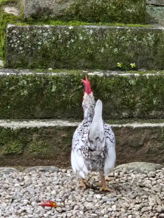 石上神宮(奈良県)