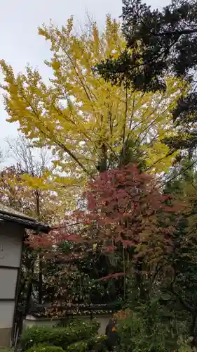 大念寺(京都府)