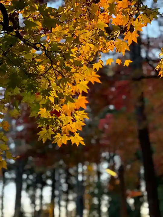 諏訪大社下社秋宮(長野県)