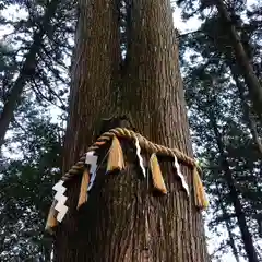 岩戸別神社の自然