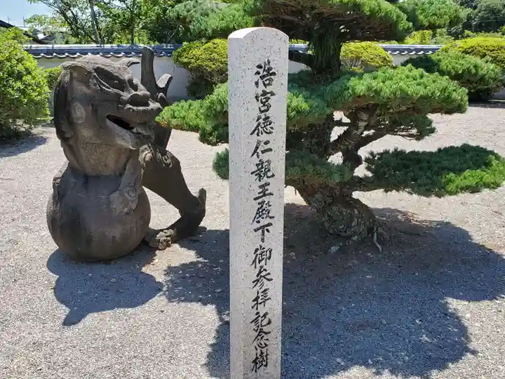 浄土寺の自然