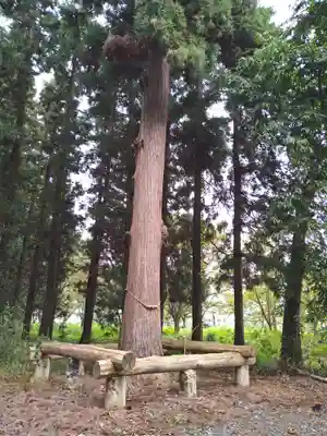 熊野神社(山形県)