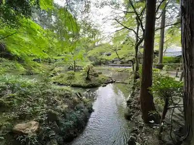 南禅院(京都府)
