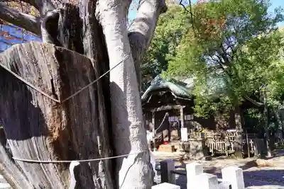 阿邪訶根神社のその他建物