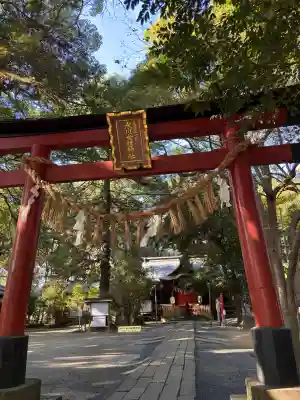 氷川女體神社(埼玉県)