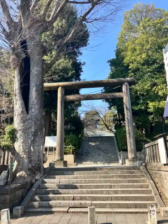 所澤神明社(埼玉県)