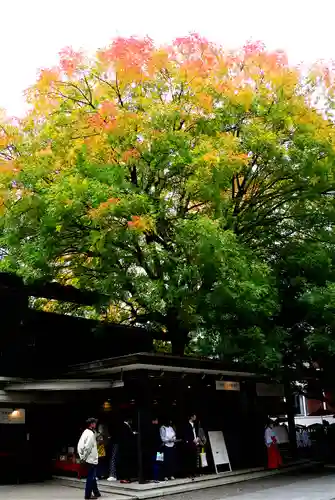 乃木神社(東京都)