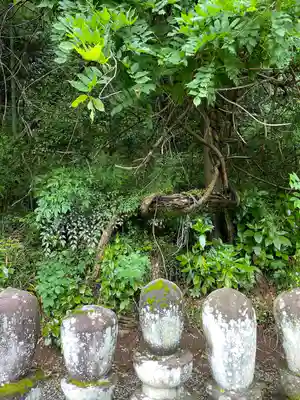 大中寺(栃木県)
